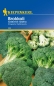 Preview: Brokkoli, Calabrese natalino, 50 Samen