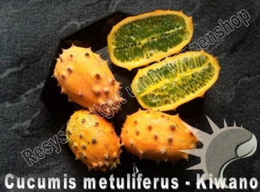 Cucumis metuliferus, 20 Samen