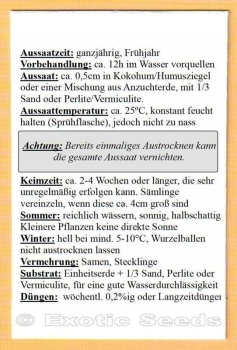 Debs creek, 100 Samen