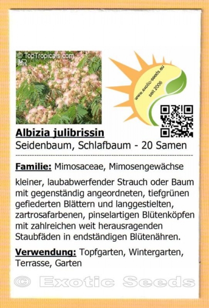 Exotic Seeds - Albizia julibrissin, Seidenbaum, Schlafbaum, Bonsai, 20 Samen
