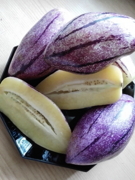 Solanum muricatum, Lila Riesen-Pepino, 20 Samen