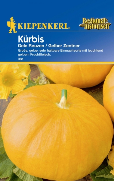 Kürbis * Gele Reuzen * Gelber Zentner * 5 Samen