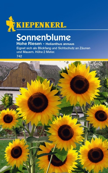 Sonnenblume, Hohe Riesen, 15 Samen