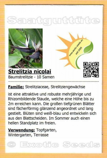 Exotic Seeds - Strelitzia nicolai, 10 Samen