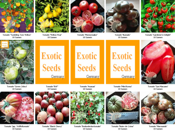 Tomatenset, 15 verschiedene Sorten, je 10 Samen