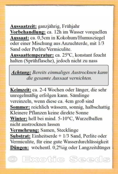 Debs creek, 100 Samen